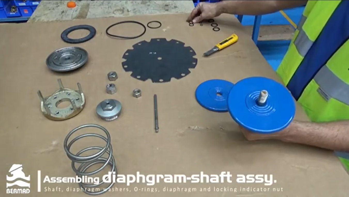 Техническое обслуживание клапанов BERMAD серии 700. ООО "Хан". Hansib.ru